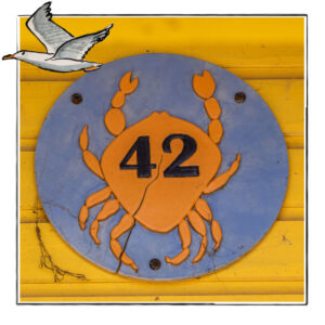 Email Marketing Image with a crab