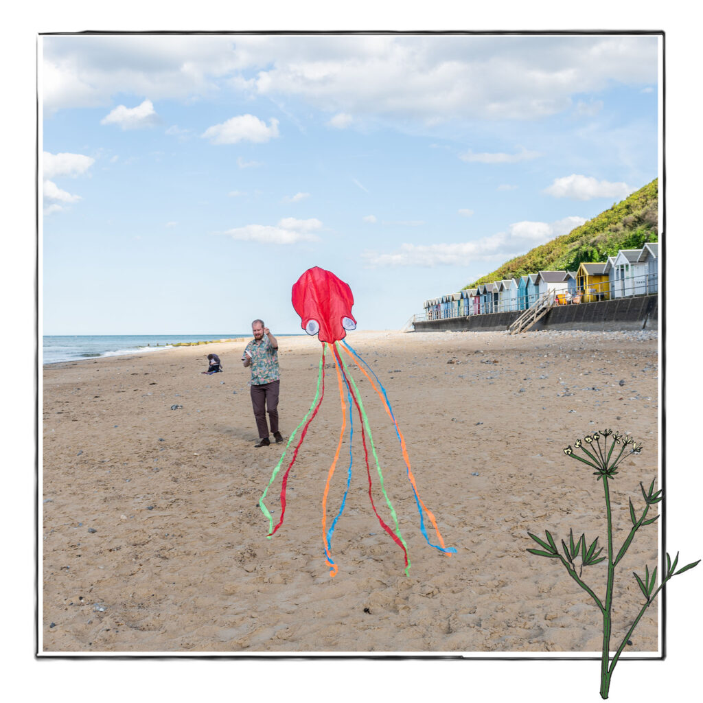 Image of a man flying a kite on the beach in Norfolk, UK, framed with a sketch line and overlaid with a hand drawn image of samphire